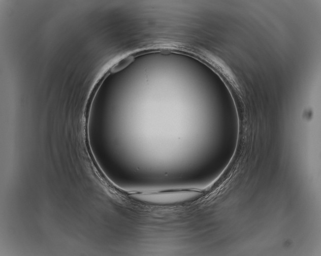 X0000096181332200801181304