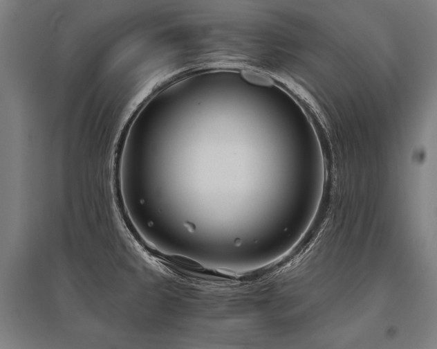 X0000096181333200801181304