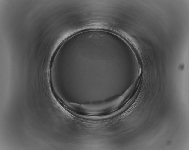 X0000096181334200801181304