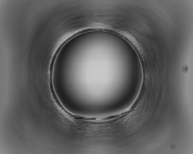 X0000096181335200801181304