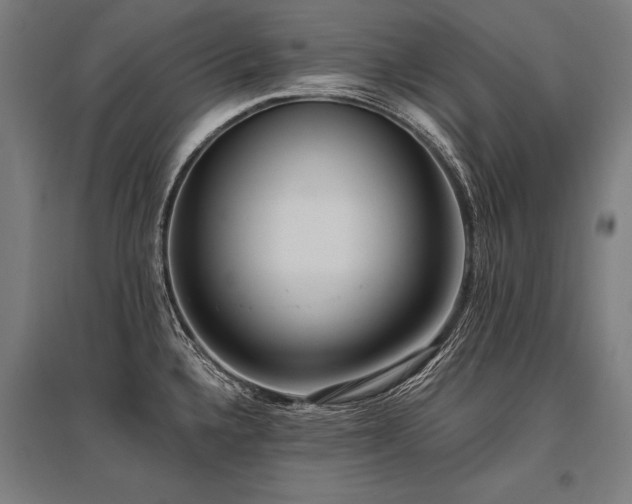 X0000096181336200801181304