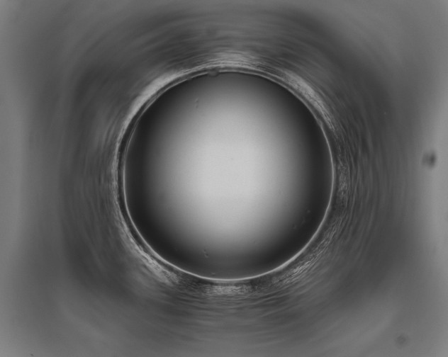 X0000096181339200801181304