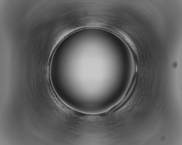 X0000096181340200801181304