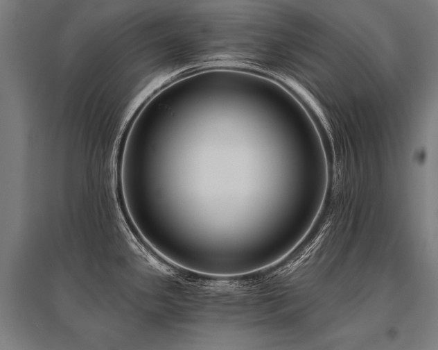 X0000096181341200801181304