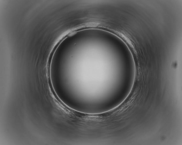 X0000096181342200801181304