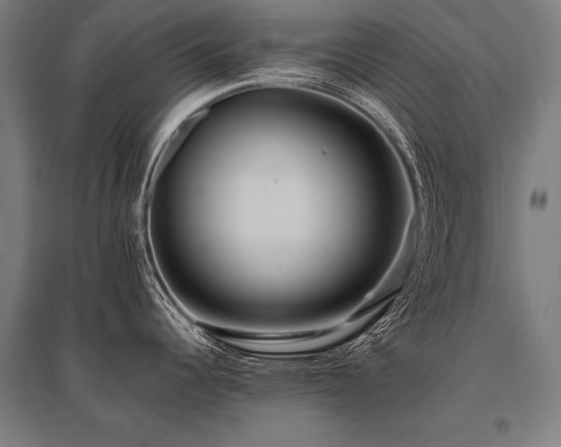 X0000096181344200801181304