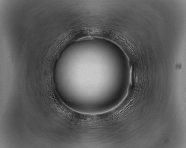 X0000096181345200801181303