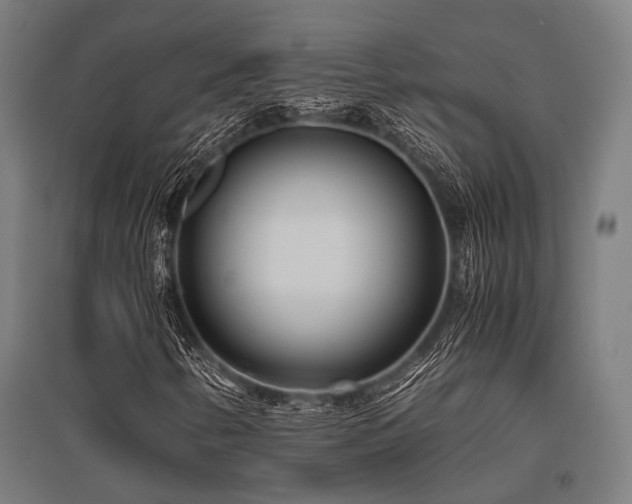 X0000096181346200801181303