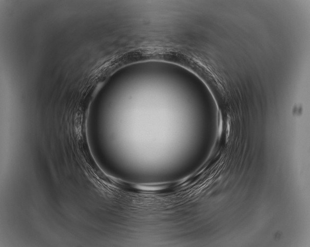 X0000096181348200801181303