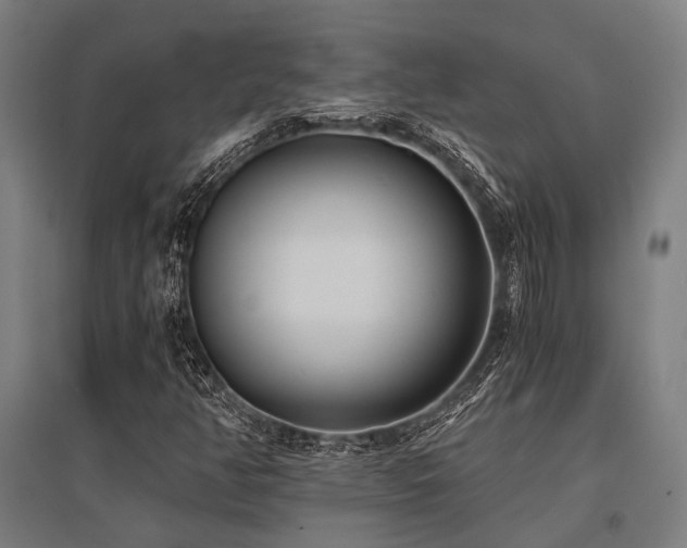 X0000096181350200801181303