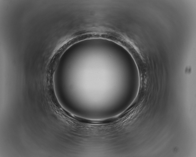X0000096181352200801181303