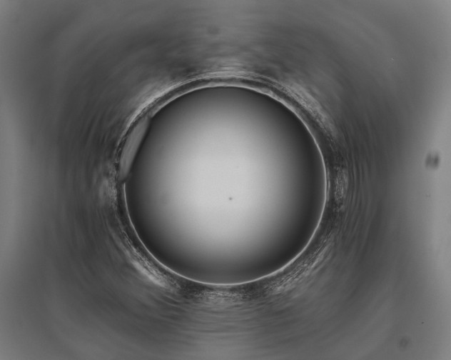 X0000096181356200801181303