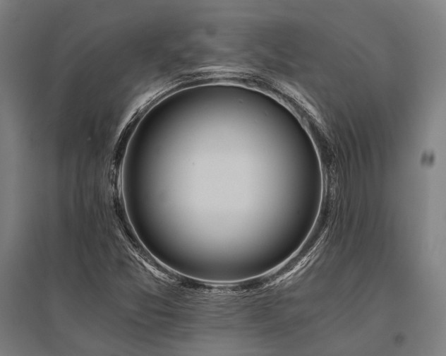 X0000096181357200801181303