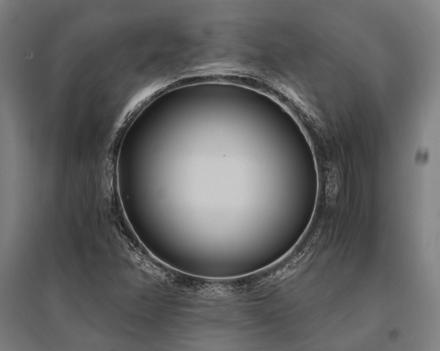 X0000096181358200801181303