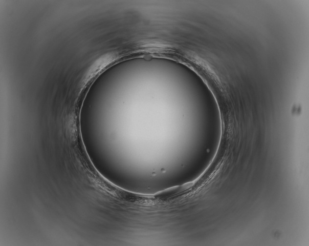 X0000096181362200801181303