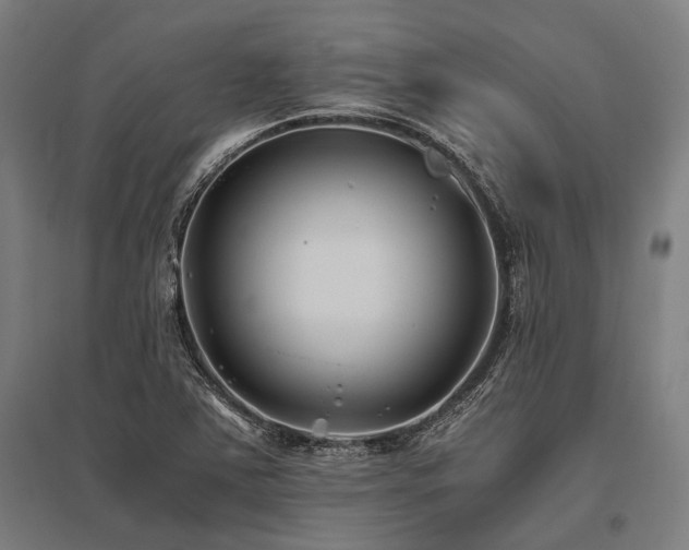 X0000096181363200801181303