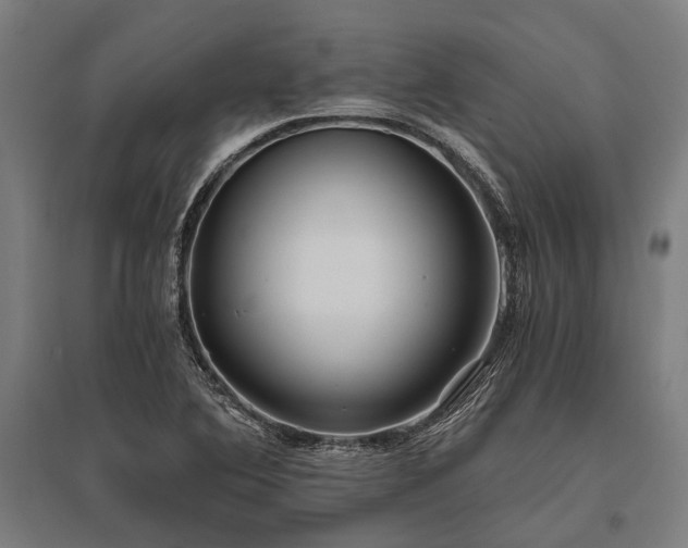 X0000096181364200801181303