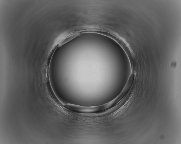 X0000096181365200801181303