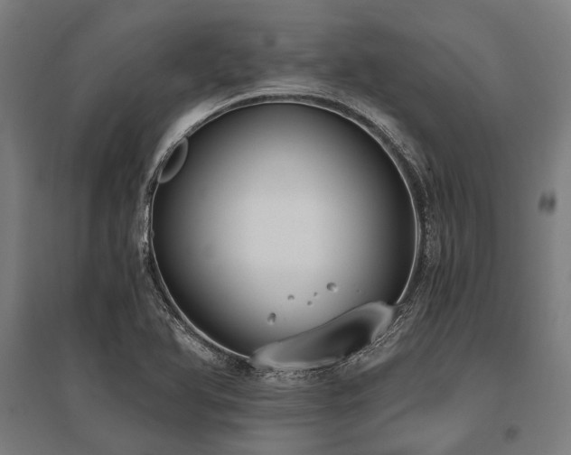 X0000096181366200801181303