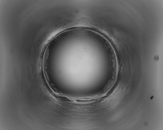 X0000096181367200801181303