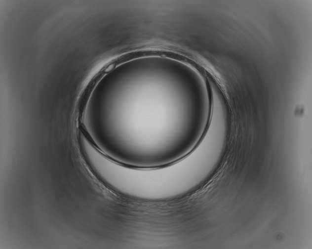 X0000096181368200801181303