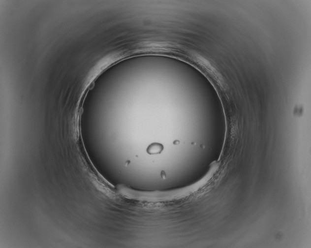 X0000096181370200801181303