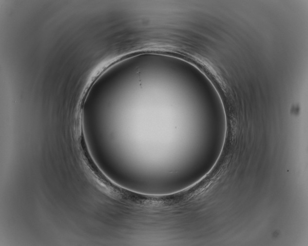 X0000096181371200801181303
