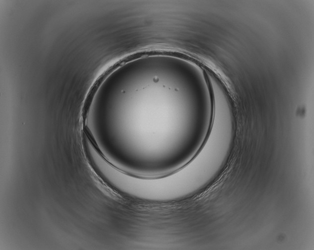 X0000096181372200801181303