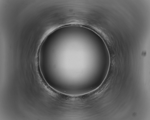 X0000096181375200801181303