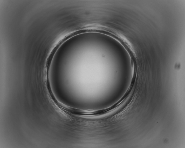 X0000096181376200801181303