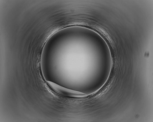 X0000096181377200801181303