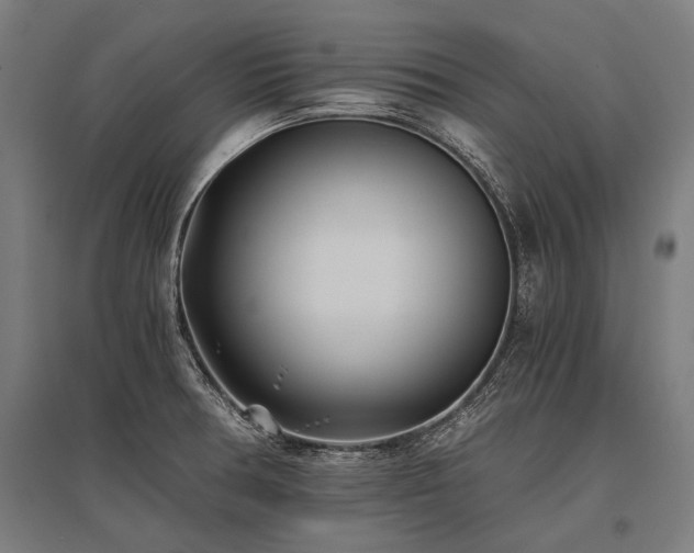X0000096181378200801181303