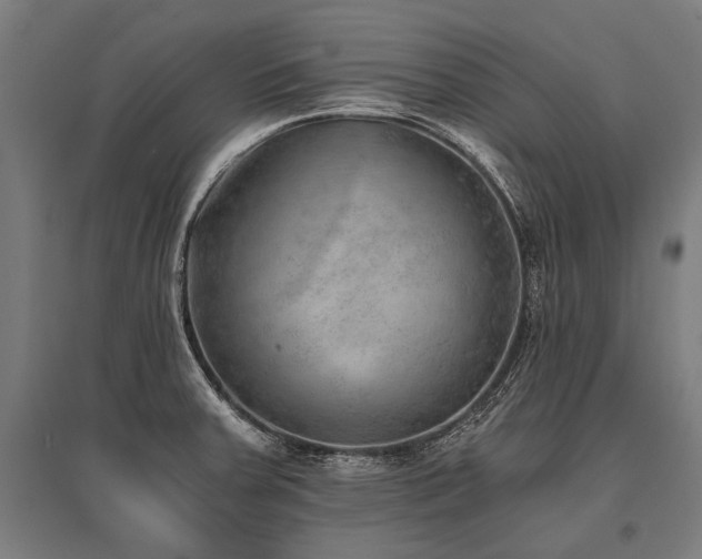 X0000096181379200801181303
