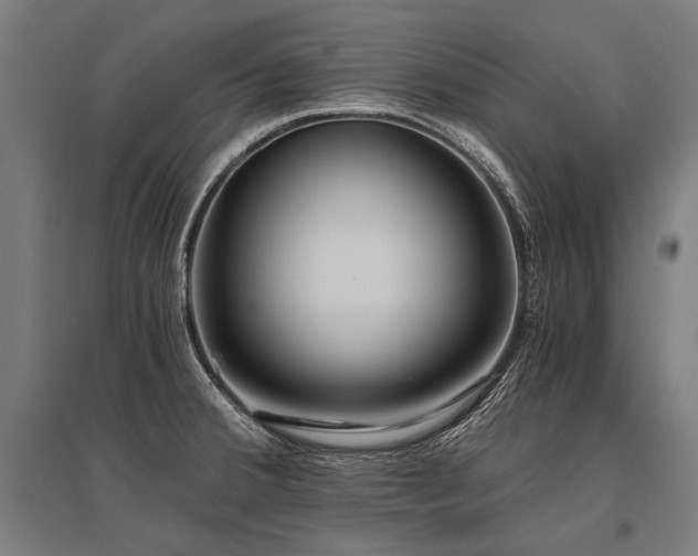 X0000096181380200801181303
