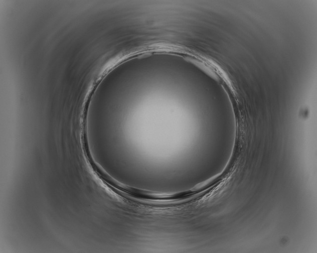 X0000096181381200801181303
