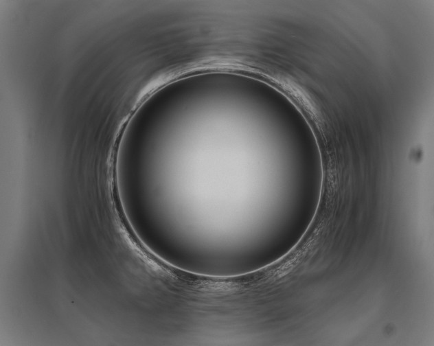 X0000096181382200801181303