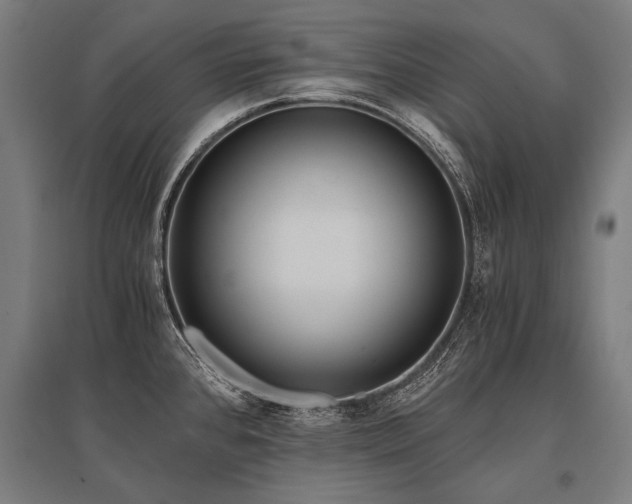 X0000096181384200801181303