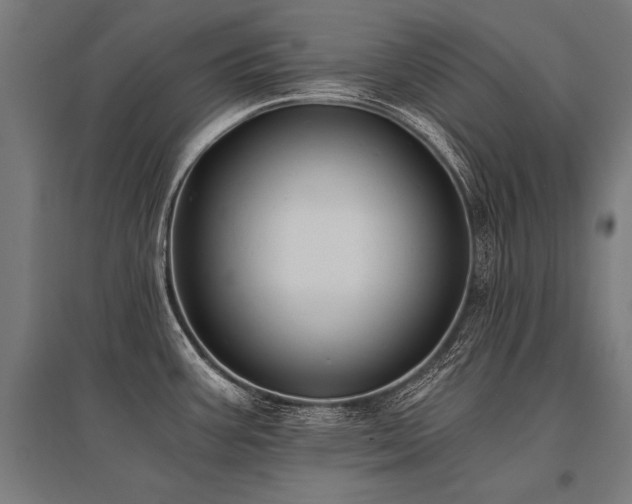 X0000096181387200801181303