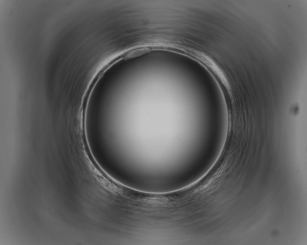 X0000096181388200801181303