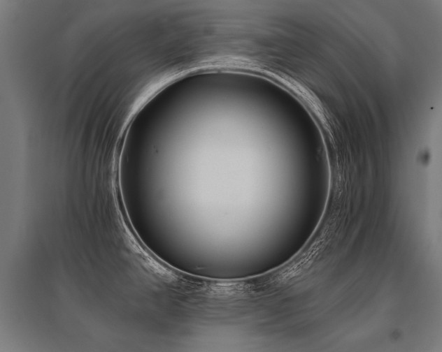 X0000096181390200801181303