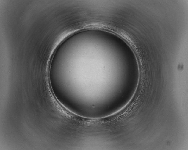 X0000096181392200801181303