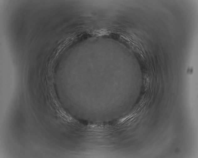 X0000096181393200801181302