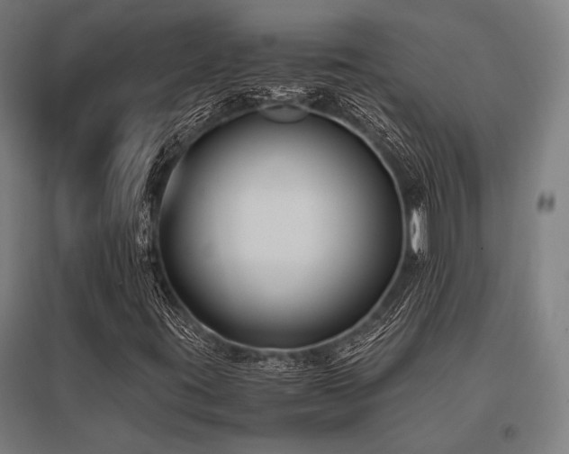 X0000096181395200801181302