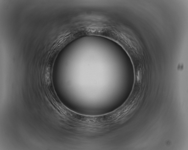 X0000096181396200801181302