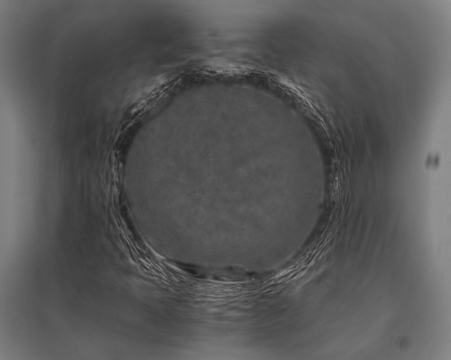 X0000096181397200801181302