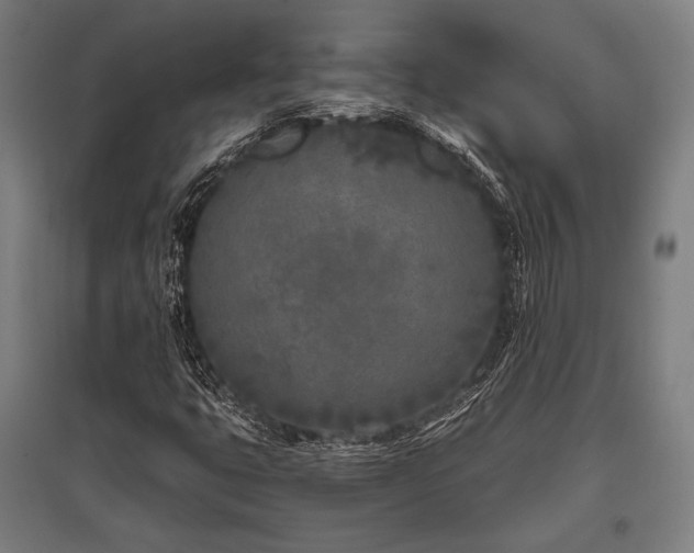 X0000096181399200801181302