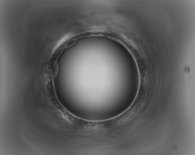 X0000096181400200801181302