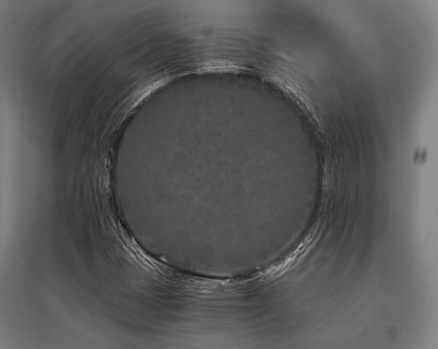 X0000096181401200801181302