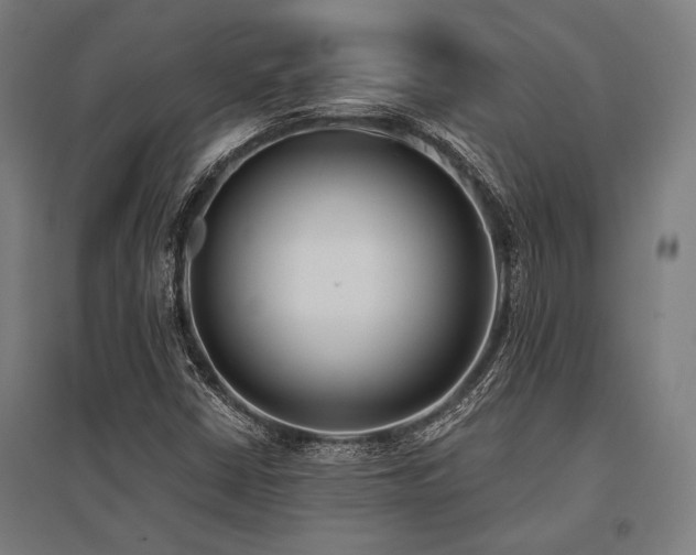 X0000096181402200801181302