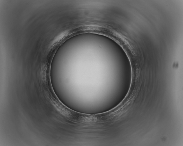 X0000096181403200801181302